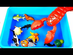 Fun Zoo Animals - Toys For Kids - Happy Cute Animals Sorting