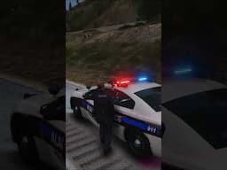 Police Chief Takes Down Suspect #shorts #fivem #leorp