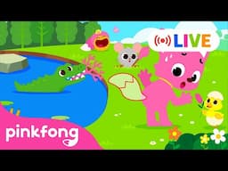 [🔴 LIVE] Pinkfong 2024: BEST of the BEST Songs | Watch on Mobile📱| NEW | Official Pinkfong