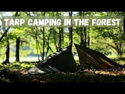 Tarp Camping in The Forest | Simple Tarp Shelter