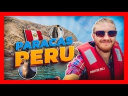 🔥Peru Chapter 1: Exploring the Breathtaking Islands, Deserts, and Cliffs of Paracas, Peru🔥