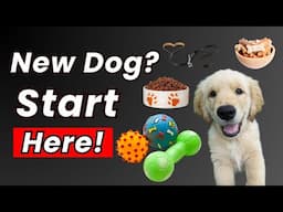 10 Must-Haves for New Dog Owners