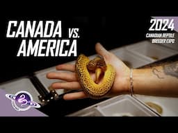 Canadian Reptile Breeder Expo VS American Shows | Ball Python Videos | #ballpython #snake #reptiles