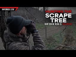 Hunting the Scrape Tree - How Much Wind is too Much? | Bowhunting Whitetails w/ Bill Winke