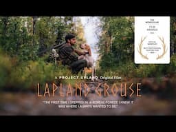 Hunting Capercaillie - Lapland Grouse - Upland Bird Hunting in Sweden