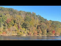 Autumn 🍂 Leaves Changing Color On The Chattahoochee River