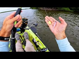 THIS Lure Always Catches In the Florida Everglades - Epic All Day Fishing Mission w/ Bixpy Motor