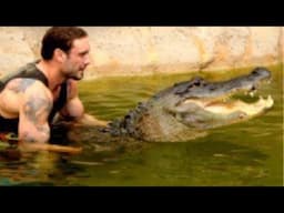 Big gators at gatorama!