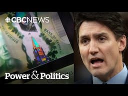 'A trick'? Not enough? Liberals defend over $6B in cheques and tax holidays | Power & Politics