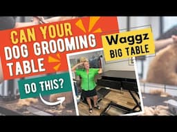 Can your Dog Grooming Table do this?