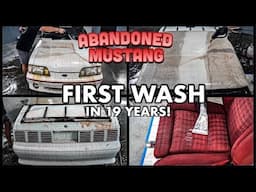 Abandoned BARN FIND Ford Mustang | First Wash In 19 Years |  Car Detailing Restoration How To!