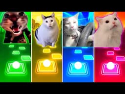 Doorbell Cat vs Huh Cat vs Driving Cat vs Coffin Dance Cat - Tiles Hop EDM Rush