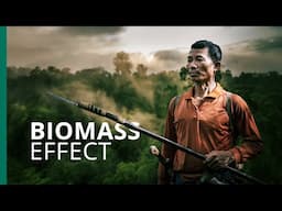 Will a forest in Borneo be gutted for 'green' energy?