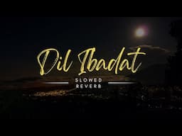 Dil Ibaadat kar raha hai | Slowed + Reverb | Emraan Hashmi, Soha Ali Khan