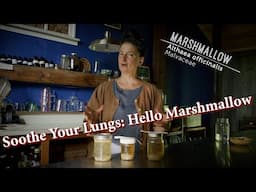 Soothe Your Lungs: How to Make a Potent Marshmallow Infusion