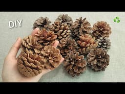 VERY Beautiful ! Christmas decoration idea with Pine cones - Genius recycling crafts - DIY hacks