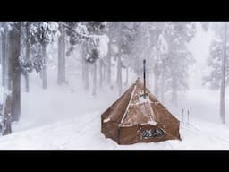 吹雪のソロキャンプ|暴風の森でもテントの中は安全です