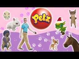 Exploring the Petz Game Series