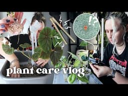 checking for pests, setting up grow lights & potting up props 🪴 Plant Chores Vlog