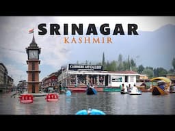 SRINAGAR TO PAHALGAM | Tour Guide | Shikara Ride | Lal Chowk | Saffron Fields | Kashmir Ep#5