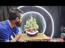 Bonsai-YEAH Live Christmas Bonsai DECORATING!