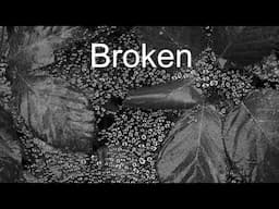 Broken | When There's No Joy in Photography