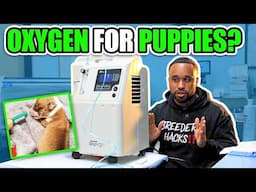 Save puppies lives with a oxygen concentrator?