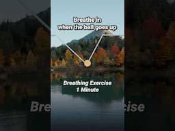 1 Minute Breathing Exercise