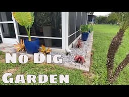 DIY No Dig Small Home Garden Idea w/ Bromiliads Alocasia Lawn Lights / Accent Garden Rock Garden