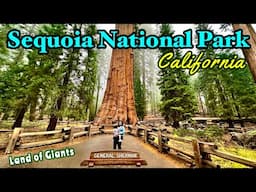 USA EP 07: RoadTrip 2024 | Fremont to Los Angeles | Sequoia General Sherman Tree | Roving Couple