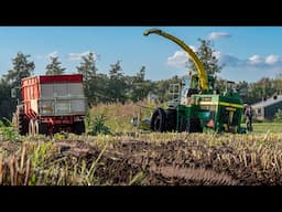 Mais 2024 / Modderen / John Deere 6750 / Molenaar + Van Velthuizen / Mud / Maize silage