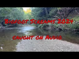 20 Minutes of Actual Bigfoot Audio Captured in Indiana 2024