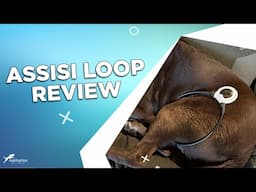 Review: Assisi Loop