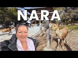 NARA, Japan Travel Guide: Sacred Deer, Temples, Sake Tasting & Sweet Treats!