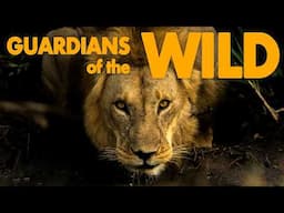 GUARDIANS OF THE WILD | Full Documentary