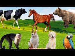 Playful Animals: Parrot, Dog, Cat, Bear, Horse - Animal Sounds