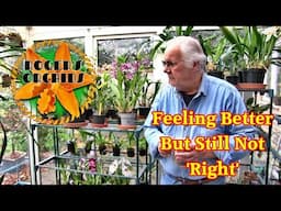 My Sunday Orchid Chat on a Monday Due to Illness