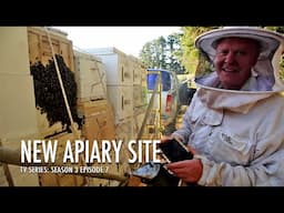 A Place to Bee - Setting Up New Apiary Sites | The Bush Bee Man