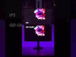 QD-OLED Monitor Comparison