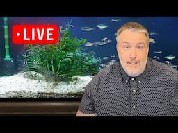 2 Hour Aquarium Chat Hang Out. Sundays at 6pm Eastern.