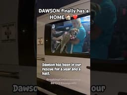 DAWSON finally has a HOME 🏠 ❤️ #doglover #dog #rescuedog