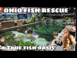 So many fish come and go at the rescue