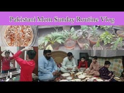 Dawat Vlog | Aj Ham Bary Papa ke Ghar Dawat Per Gy