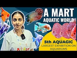 A MART AQUATIC WORLD | 5TH AQUAGIC | AQUARIUM EXHIBITION | AQUARIUM FISH | FISH TANKS