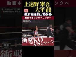 【Krush.166】上遠野 寧吾 vs 大平 龍　Krush.168 11.23名古屋大会チケット好評発売中！