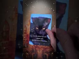 Your Message from SPIRIT! #1111 #inspiration #tarot #shortsviral #viralvideo #meditation #2222