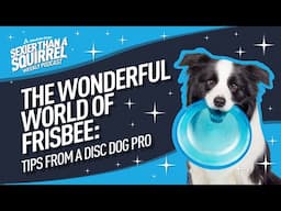 The Wonderful World of Frisbee: Tips from a Disc Dog Pro