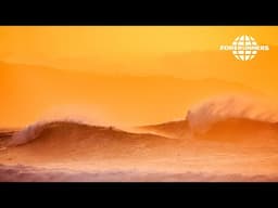 More Surf for Hawaii and California?  (Forerunners Nov 8, 2024)