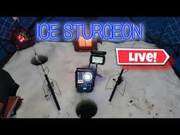 Ice Fishing Sturgeon - LIVE 🔴