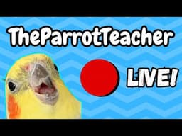 Birds, Parrots & Hot Topics | TheParrotTeacher Live